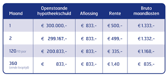 Efficiëntie met een Snelle Hypotheek Berekening